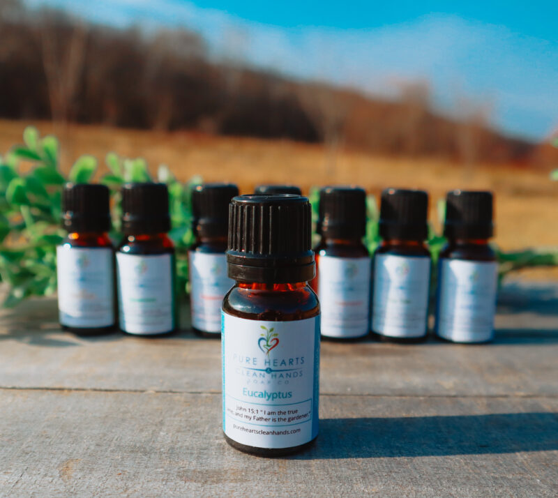 Eucalyptus Essential Oil - 10 ml Bottle