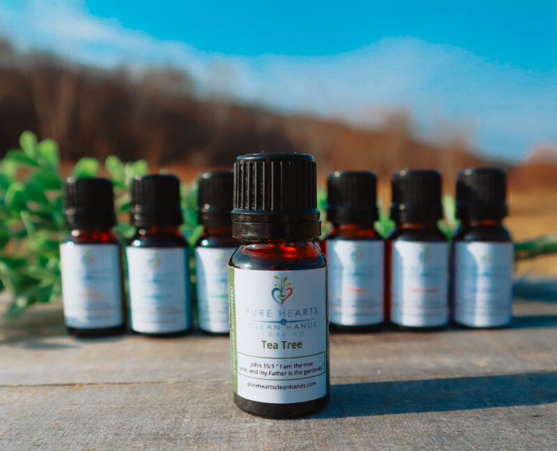 Tea Tree Essential Oil - 10 ml Bottle