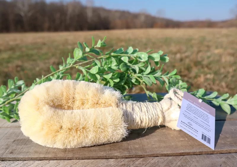 Natural Dry Body Brush